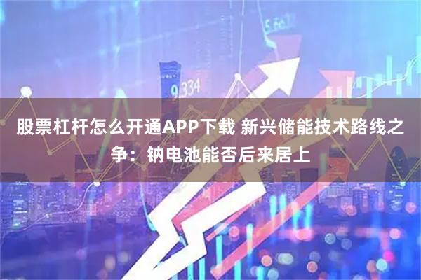 股票杠杆怎么开通APP下载 新兴储能技术路线之争：钠电池能否后来居上