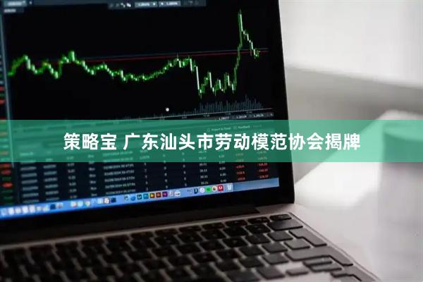策略宝 广东汕头市劳动模范协会揭牌